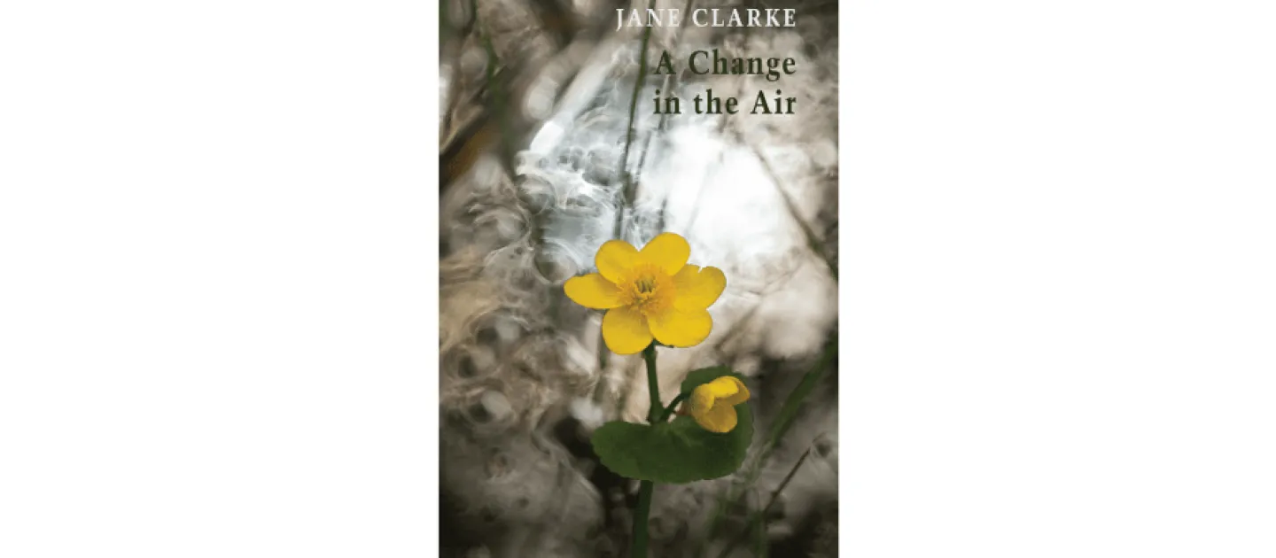 A Change in the Air cover image