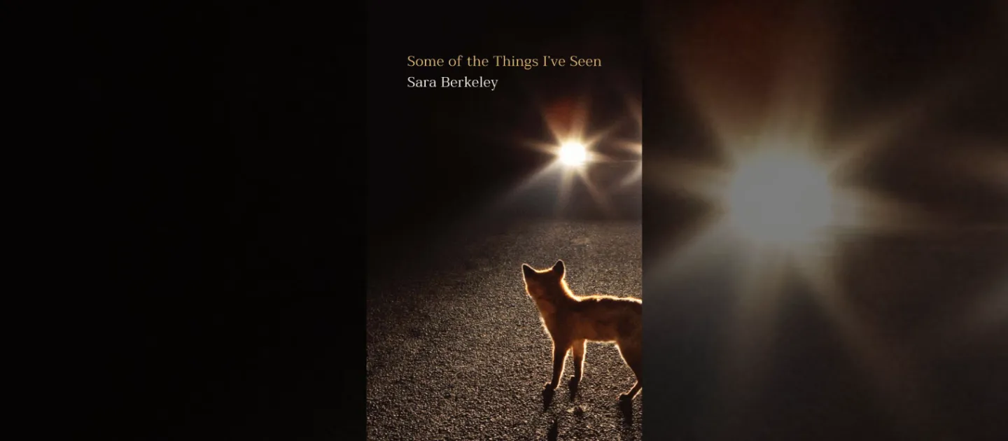 Sara Berkeley book cover