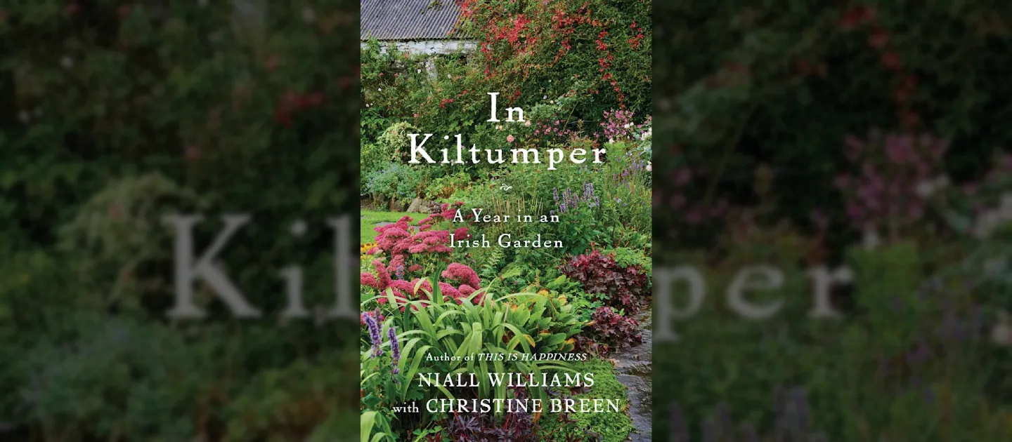 In Kiltumpter cover image banner