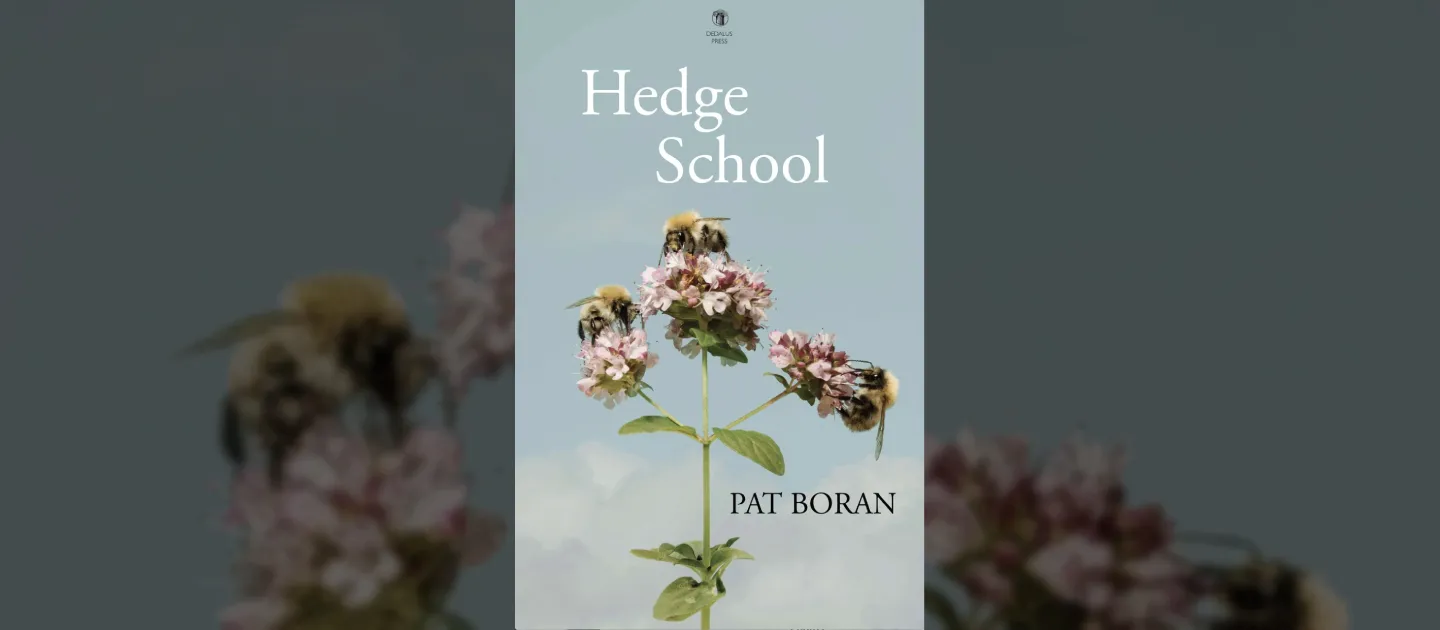 Hedge School cover image banner