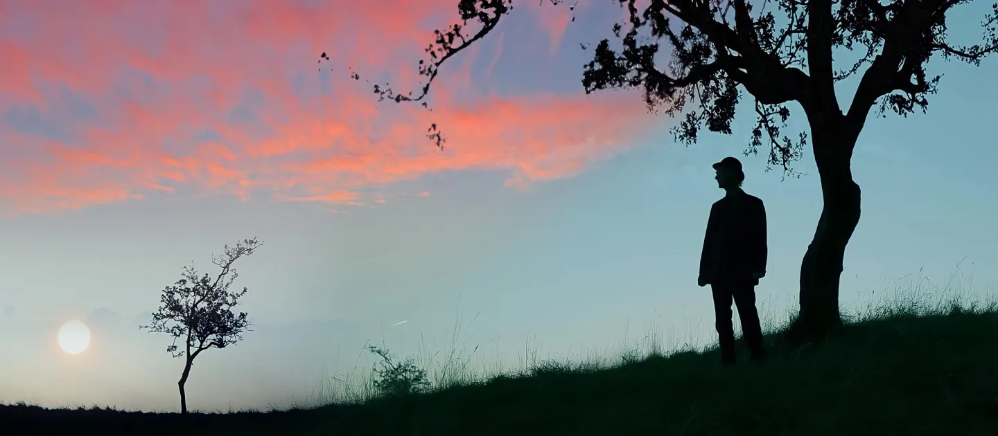 BP FALLON main image, silhouette against sunset