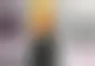 Updated LIE LOW duckman banner graphic