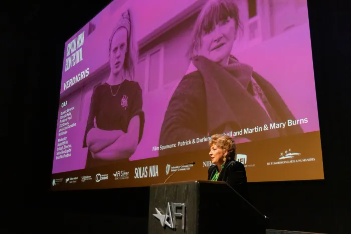 Ambassador Byrne-Nason speaking, side angle