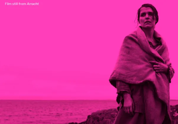 Capital Irish Film Festival Poster