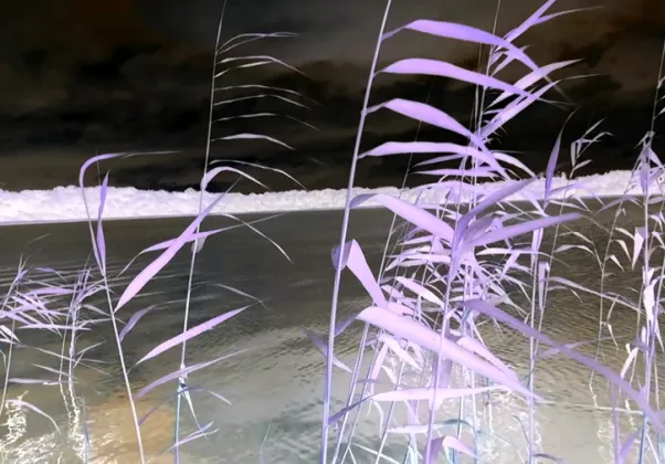 Shipsides and Beggs Projects, Cola Lough Dream, 2020. Video Still, Another Fine Mess. Credit: Shipsides and Beggs Projects.