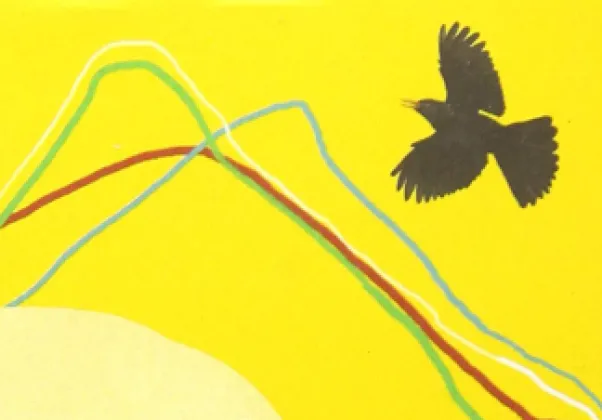 Diary of a Young Naturalist Dara McNulty February Nonfiction 2021