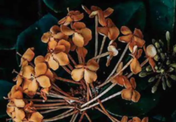 July Nonfiction 2021