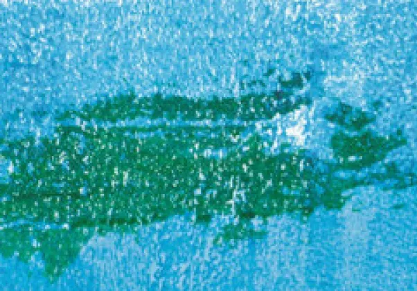 May Nonfiction Group 2021