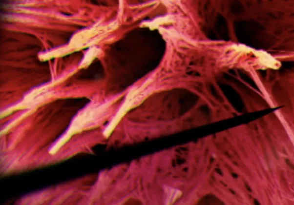 Fishamble’s TINY PLAYS