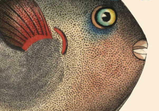 October Fiction 2021