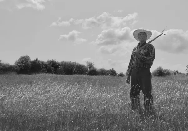 When All Is Ruin Once Again