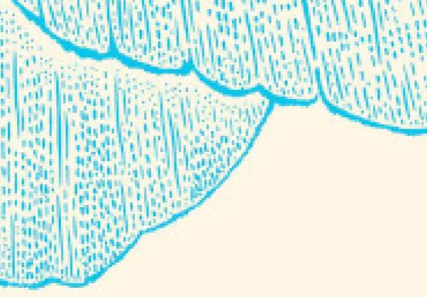 June 2022 Nonfiction