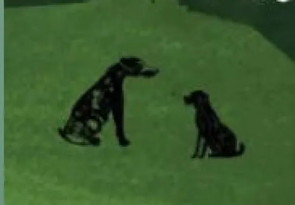 December 2022 Fiction