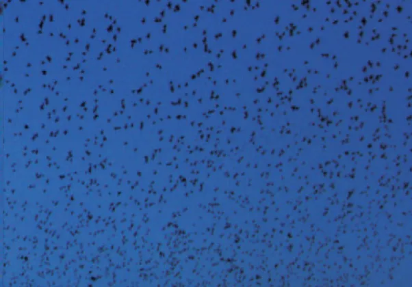 November 2022 Nonfiction