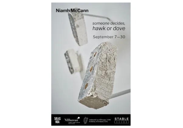 art exhibition infographic for someone decides, hawk or dove