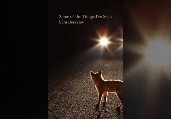 Sara Berkeley book cover