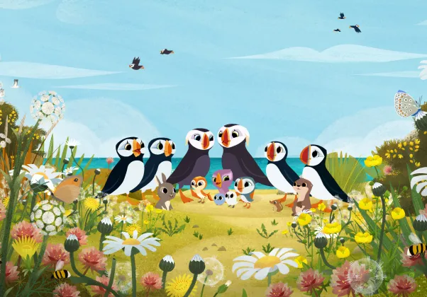 puffin rock key image