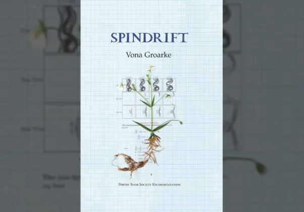 Spindrift Cover image