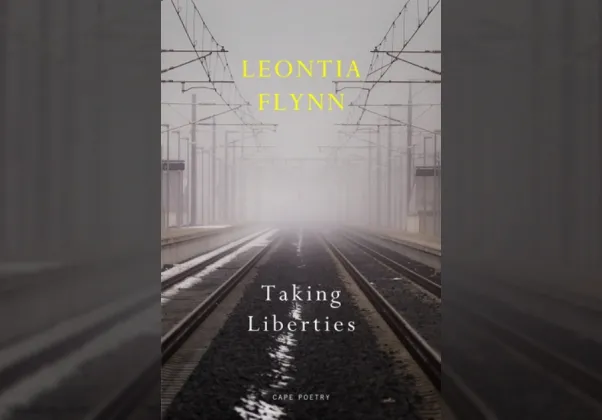 Taking Liberties cover image