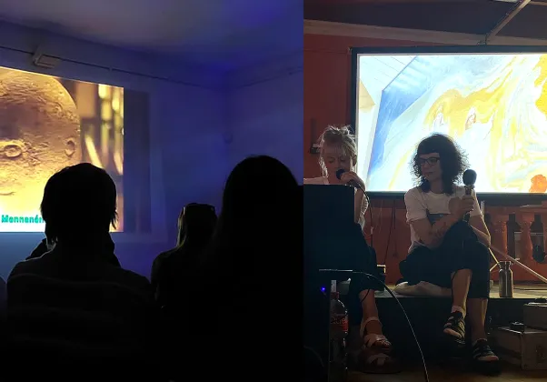 A Collection of Disarticulated Bones image