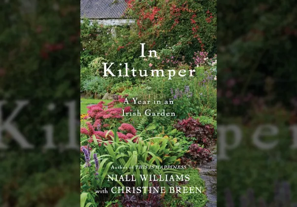 In Kiltumpter cover image banner