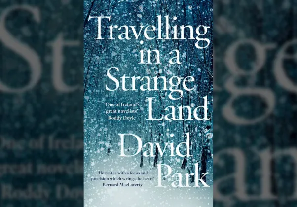 Travelling in a Strange Land cover image banner