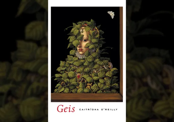 Geis cover image banner