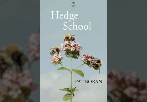 Hedge School cover image banner