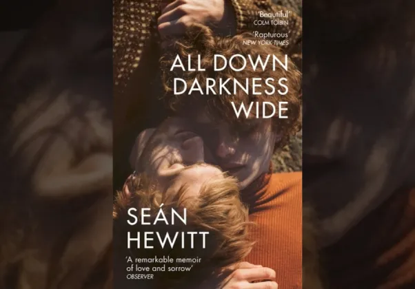 All Down Darkness Wide book cover banner image