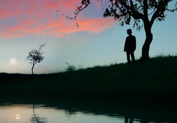 BP FALLON main image, silhouette against sunset