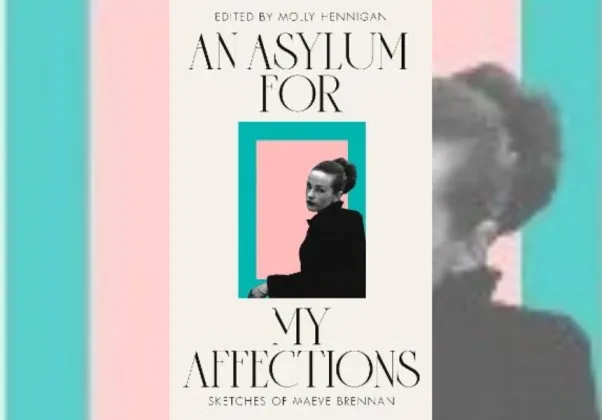 asylum
