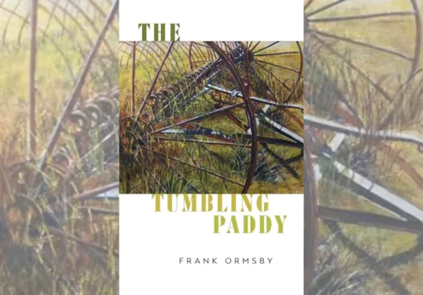 paddy